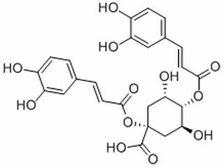 1,4-二咖啡酰奎寧酸