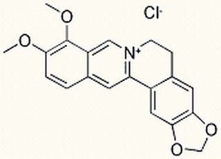 鹽酸小檗堿