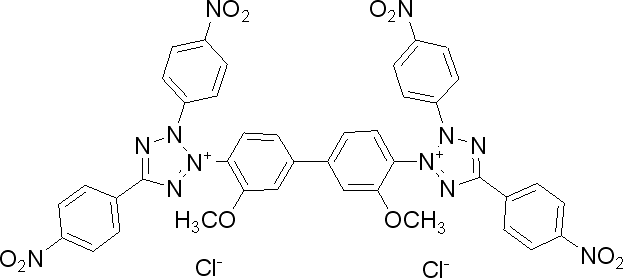 四硝基四氮唑藍(lán)（TNBT）